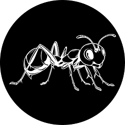 ANTS logo