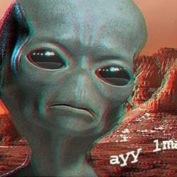 AYYLMAO logo