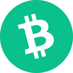 BCH logo