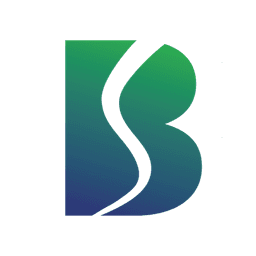 BELRISE.NSE logo