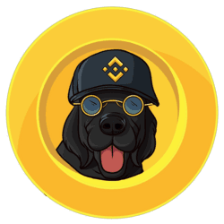 BINANCEDOG logo