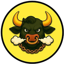 BNBULL logo