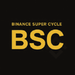 BSC logo