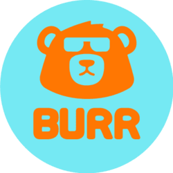 BURR logo