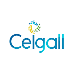 CEIGALL.NSE logo