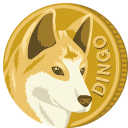 DINGO logo