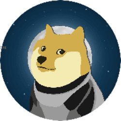 DOGE1 logo