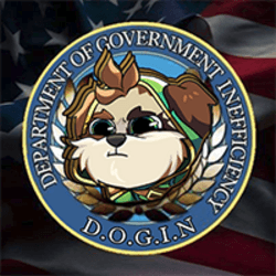 DOGIN logo
