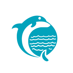DOLPHIN.NSE logo