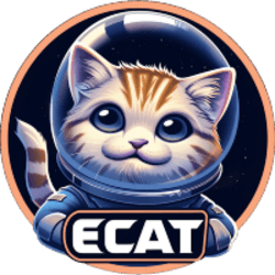 ECAT logo