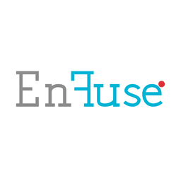 ENFUSE.NSE logo
