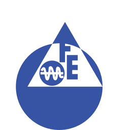 FEIM logo