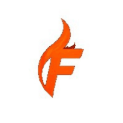 FSX logo