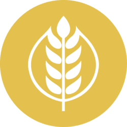 GRAIN logo