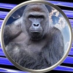 HARAMBE logo