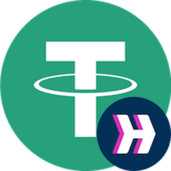HUSDT logo
