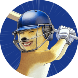 IPL logo
