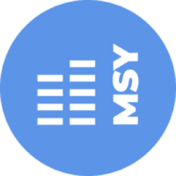 MSY logo