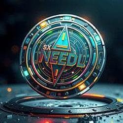 NEEDL logo