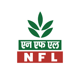 NFL.NSE logo