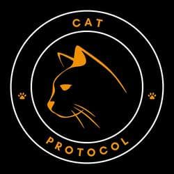 OPCAT logo