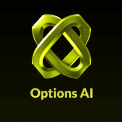OPTION logo