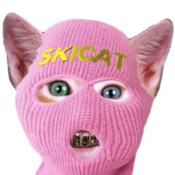 SKICAT logo
