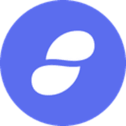 SNT logo