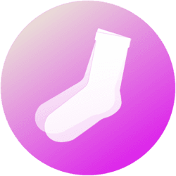 SOCKS logo