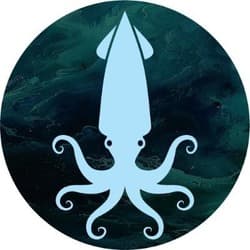 SQUIDS logo