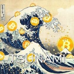 TSUNAMI logo