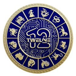TWELVE logo