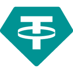 USDT.BSC logo