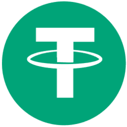 USDT.E logo