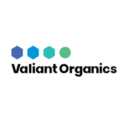 VALIANTORG.NSE logo