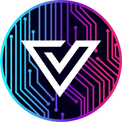 VIZION logo