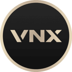 VNX logo
