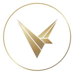 VY logo