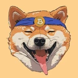 BITDOGE logo