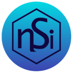 NSI logo