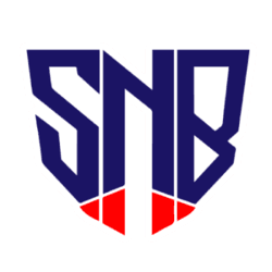 SNB logo
